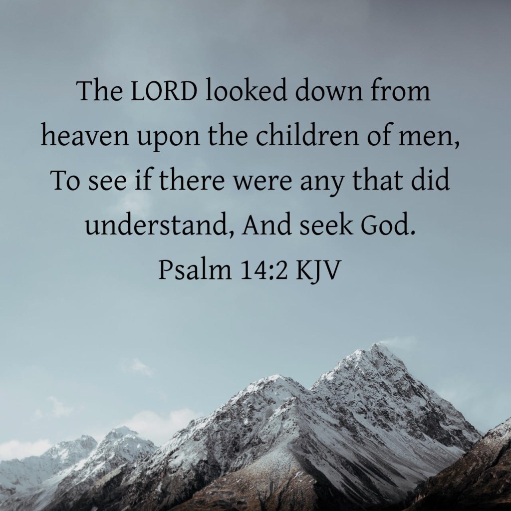 Seek and Find