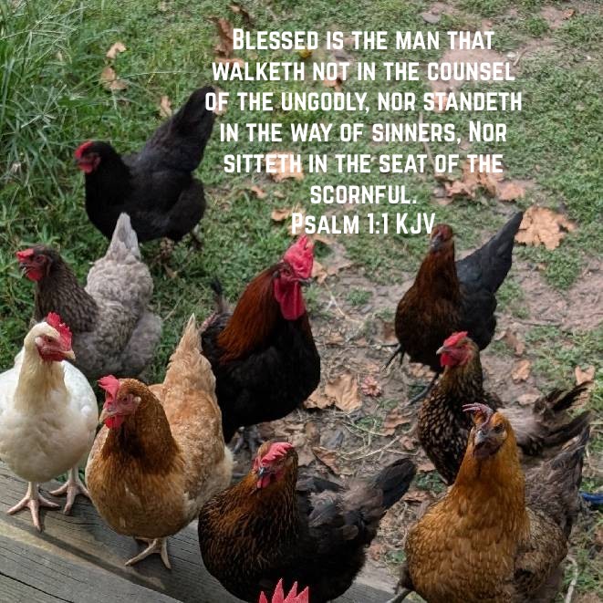 Walk Not In The Counsel Of The&nbsp;Ungodly
