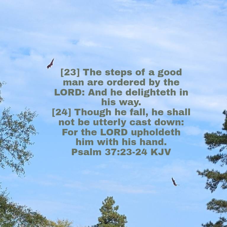 When I Fall