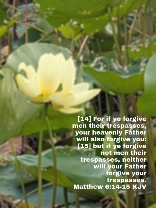 Forgiveness